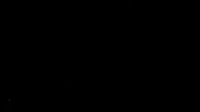 Andrew Yang en campaña.