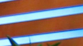 Jomari Goyso junto a Lili Estefan en El Gordo y la Flaca de Univision.