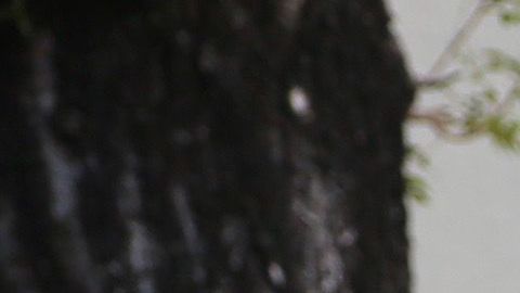 Sarita, José Joel y Marysol, hijos de José José.