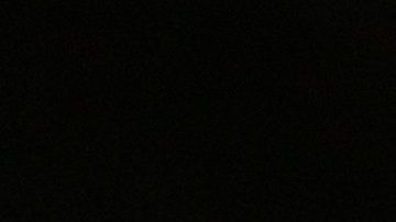 El senador Bernie Sanders, precandidato demócrata a la Presidencia.