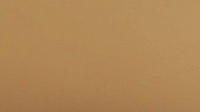 El diario fue hallado en una vivienda.