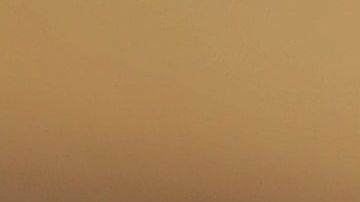 El diario fue hallado en una vivienda.