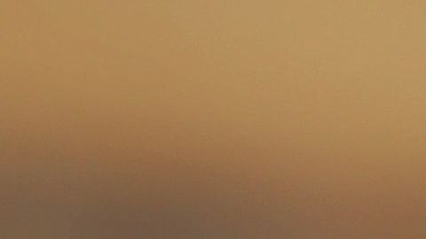 El diario fue hallado en una vivienda.