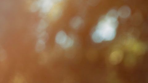 Los clientes suelen ser hombres de entre 40 y 60 años.