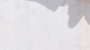 Daños severos al Águila Republicana.