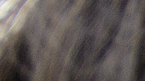 Llantas con más de 10 años de vida deben ser reemplazadas