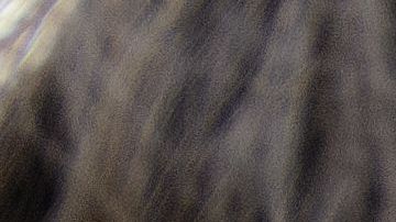 Llantas con más de 10 años de vida deben ser reemplazadas