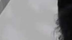 Alexa fue atacada a balazos.