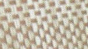 Ana Brenda Contreras.