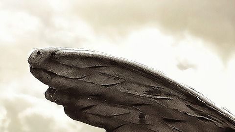 Cada signo posee un ángel protector.