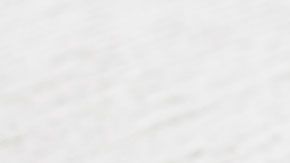 El primer animal en ser clonado en Estados Unidos se llamó Nubia.