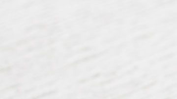 El primer animal en ser clonado en Estados Unidos se llamó Nubia.