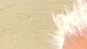 Arzobispo Rogelio Cabrera López