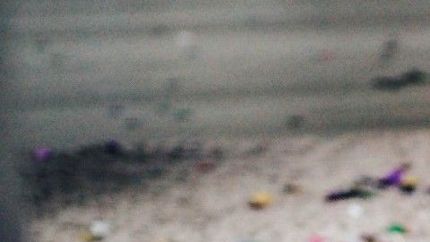 Con esta información te vas a cuestionar qué tanto aspiras bien tu alfombra.