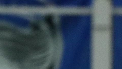 El Atalanta sigue siendo el equipo sensación de la Champions League en el 2020.