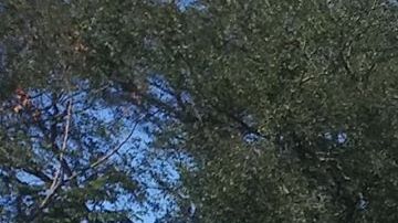 La zona donde ocurrió la explosión es de población mayormente hispana.