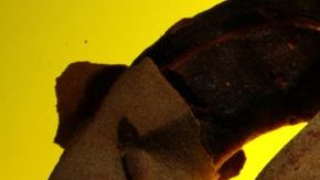 El tamarindo tiene un gran poder antioxidante.