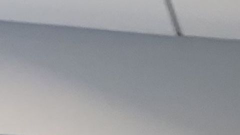 Inmigrantes acuden en masa a tramitar sus licencias en primer día de la nueva ley en Nueva York