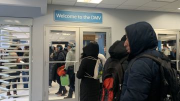 Inmigrantes acuden en masa a tramitar sus licencias en primer día de la nueva ley en Nueva York