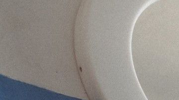 Desde ruidos extraños hasta mal funcionamiento, pueden complicarle la vida.