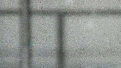 Foto:
El balón oficial de la Liga MX rueda en las canchas de la Liga 5 de Mayo. (Javier Quiroz / La Raza)