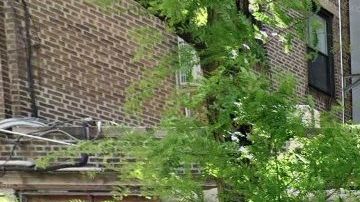 1916 Church Ave, Prospect Park South