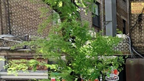 1916 Church Ave, Prospect Park South