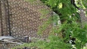 1916 Church Ave, Prospect Park South