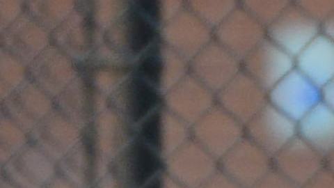 La temporada de béisbol en La Villita es del 1 de abril al 1 de julio. (Javier Quiroz / La Raza)