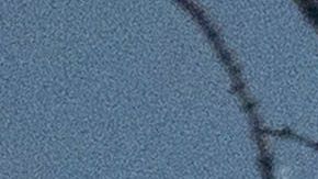 Hay 14 casos de contagios confirmados en Estados Unidos.