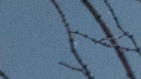 Hay 14 casos de contagios confirmados en Estados Unidos.