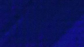 Joe Biden, Bernie Sanders, Elizabeth Warren y Pete Buttigieg lideran las encuestas en Iowa.