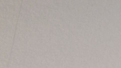 Aves muertas en la maleta.