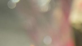 La fiesta era de una niña de 8 años.