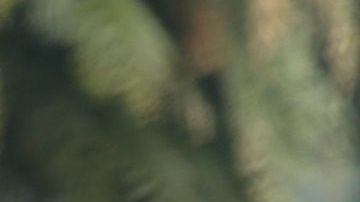 Harry en Canadá. (Foto: Grosby)