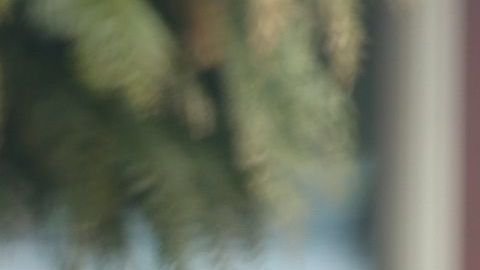 Harry en Canadá. (Foto: Grosby)