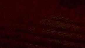 Bono, vocalista de U2.