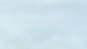 Los vecinos organizaron la campaña "Traigan a Francisco a Casa".