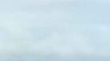 Los vecinos organizaron la campaña "Traigan a Francisco a Casa".