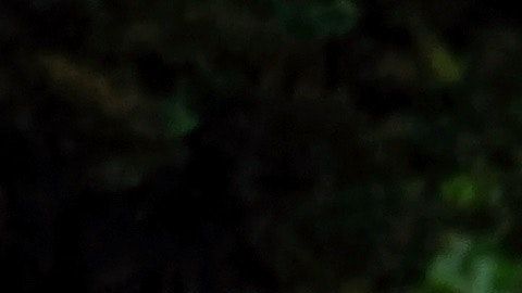 Los panteones son usados por la brujería.