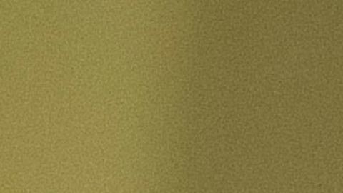 Tanto Buttigieg como Sanders se han proclamado vencedores del caucus debido a su empate prácticamente técnico.