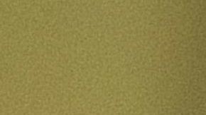 Tanto Buttigieg como Sanders se han proclamado vencedores del caucus debido a su empate prácticamente técnico.