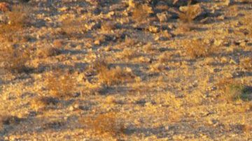 cadillacescalade-05022020-04