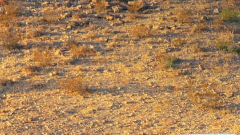 cadillacescalade-05022020-04