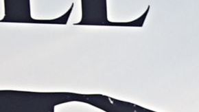 De izq. a dcha.: Omar Sy, Cara Gee, Harrison Ford, Chris Sanders y Karen Gillan.