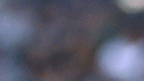 Vela se ha negado a regresar al cuadro tricolor.