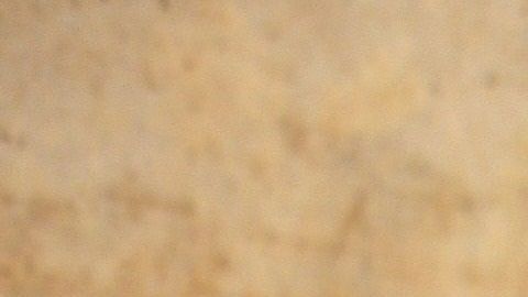 Los huesos de carnaza suelen gustarle mucho a los perros.