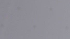 Carolina Gaitán, actriz colombiana.