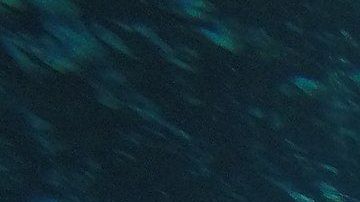 Cenotes en Yucatán, en México.