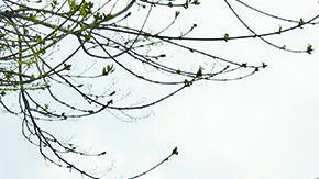 Los reclutadores no comparten información con otras oficinas gubernamentales.